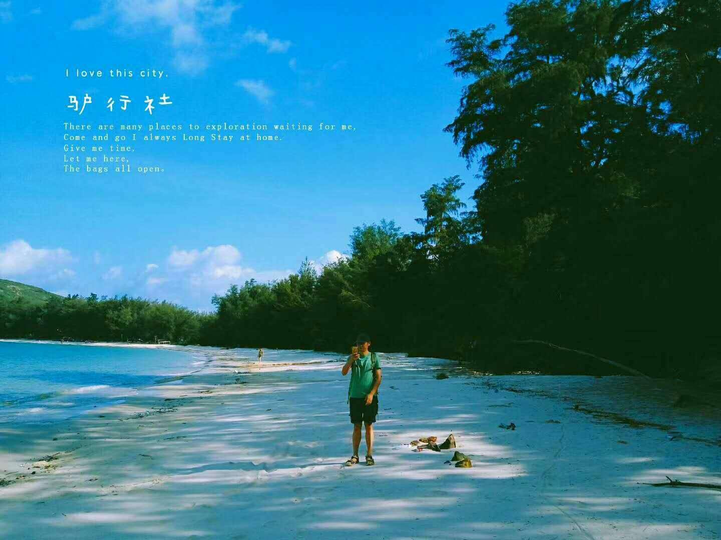 植物大战僵尸17